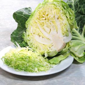 (大)新鮮な国産山盛りキャベツの千切り(100g)