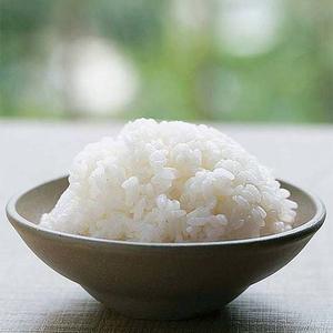 米(ご飯)