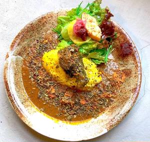 出汁と骨つきグリルチキンのスパイスカレー Spicy chicken curry with baked chicken and rice