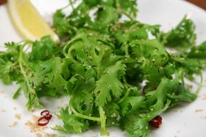 おつまみパクチー Coriander Appetizer