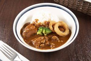 チキンガノフ