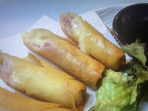 モッチーズ春巻き
