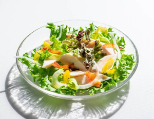 グリーンサラダ Green Salad