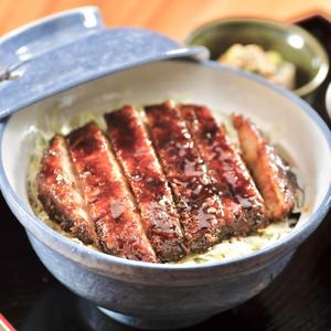 伝統会津そーすかつ丼(小盛り)