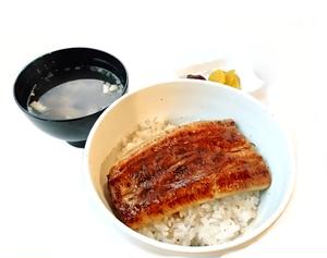 鰻 半身入