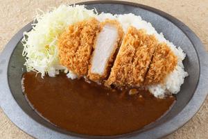 熟成ロースかつカレー
