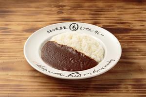 プレーンカレー