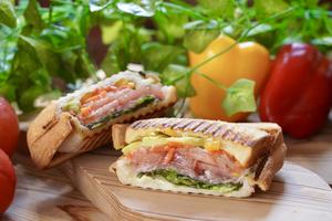 たっぷり野菜のホットサンド Vegetable Filled Hot Sandwich