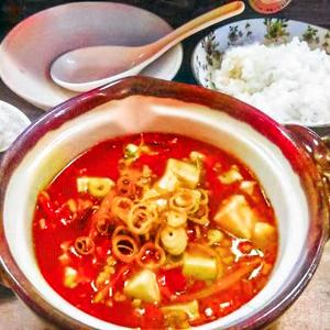 四川麻婆豆腐弁当