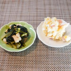 お惣菜2種セット