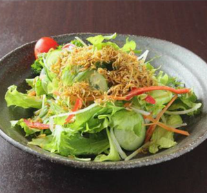 じゃこ野菜サラダ