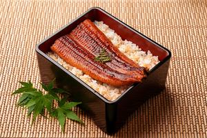 【並】 梅(鰻1/2尾)・うなぎの蒲焼弁当(ごはん大) ガリ、わさび、インスタントのお吸い物、タレ(小)