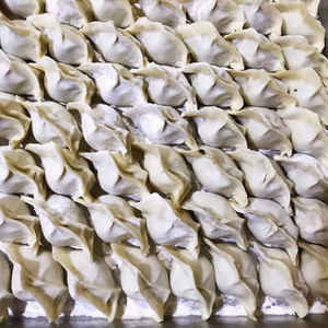 冷凍水餃子(生)10個