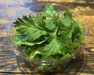 パクチー(Coriander, Cilantro)