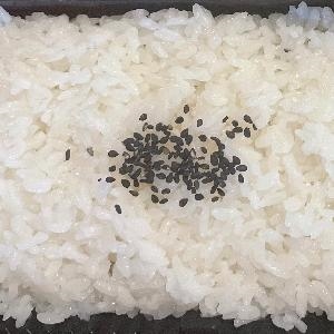 ご飯単品 中