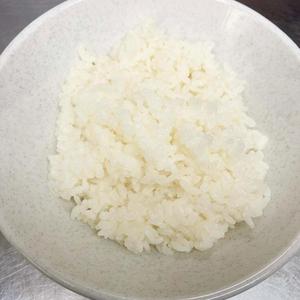 ご飯