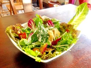 天ぷらサラダ Tempura Salad