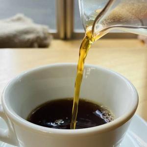 ドリップコーヒー Drip Coffee