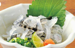 湯引き Parboiled Pufferfish Skin