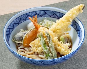 活〆一本穴子と野菜の天ぷらぶっかけうどん
