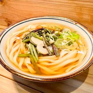 山菜うどん