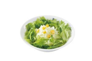ヤサイサラダ(セット)