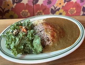 ビーガンカレー オーガニック野菜カレー Vegan Spicy Curry Orgnic