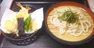 天ざるうどん
