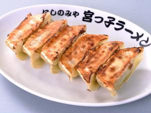 野菜たっぷりギョーザ(6個)