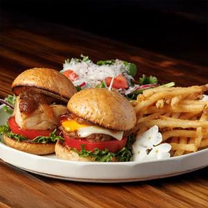 2 Burgers + Sarad+Fries 2種バーガー+ポテト