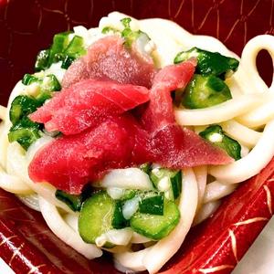丼丸 まぐろイカオクラうどん