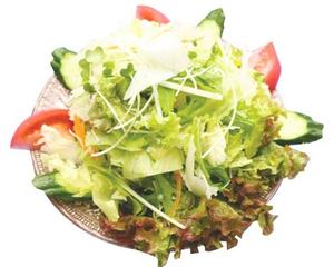 グリーンサラダ Green Salad