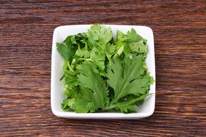 ⑧パクチー Cilantro