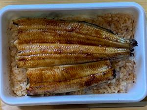 うな重(上)