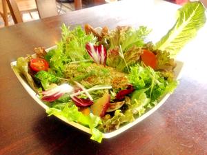 ハーブチキンサラダ Herb Chicken Salad