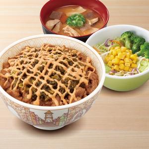 高菜明太マヨ牛丼とん汁サラダセット