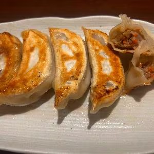 ラム肉焼き餃子
