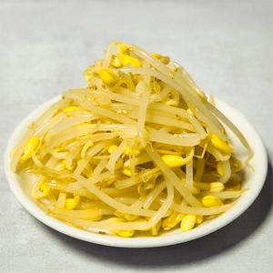もやしナムル～Bean Sprout Namul～