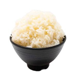 ライス(大)