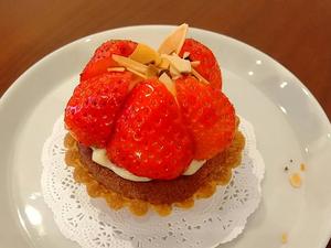 季節のシフォンケーキ