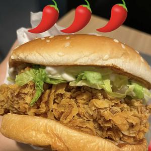辛口ハンバーガー