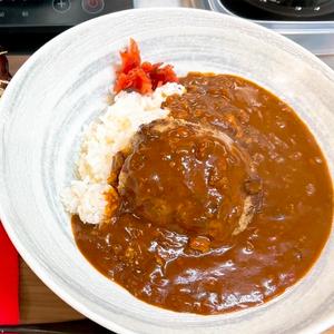ハヤシハンバーグ