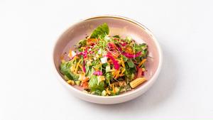 季節のサラダ Seasonal Salad