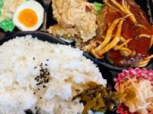 【人気NO.5】ハンバーグ＆唐揚げ弁当