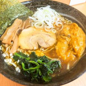醤油カレーラーメン(Syouyu Curry Ramen)