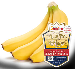 単品 甘熟王ゴールドプレミアムバナナ 1房