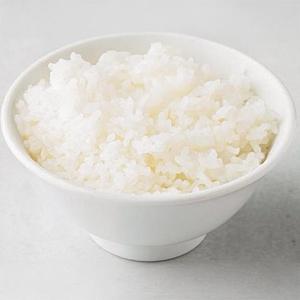ご飯(並盛)