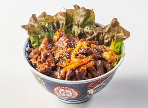 牛カルビ・ホルモン2種丼
