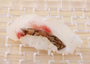 タイ(Snapper)