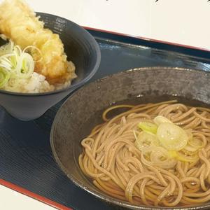 本格かけそばとミニとり天丼セット